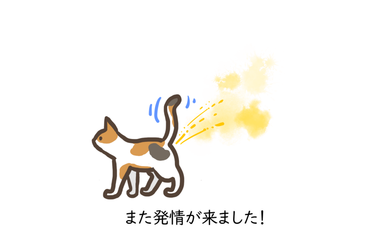 また発情が来ました！
