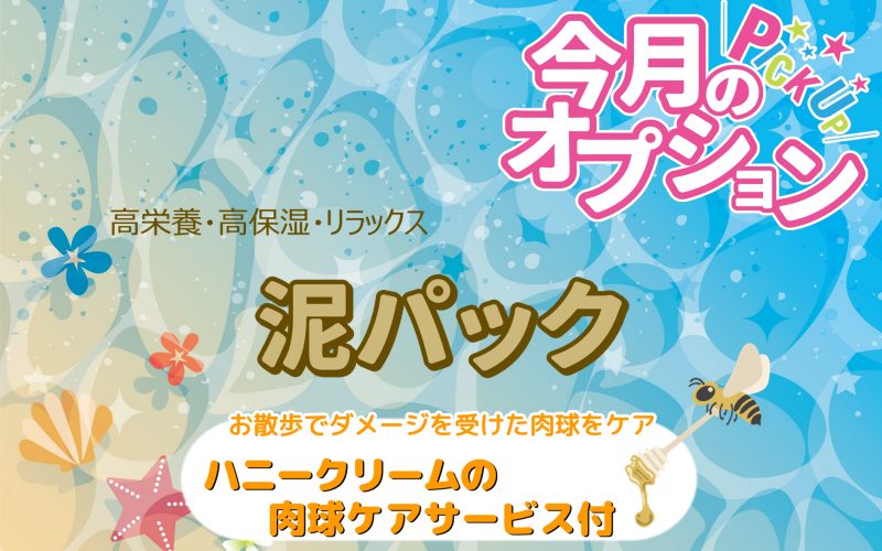 ８月のオススメꙨꙻꙨꙻ✧*
