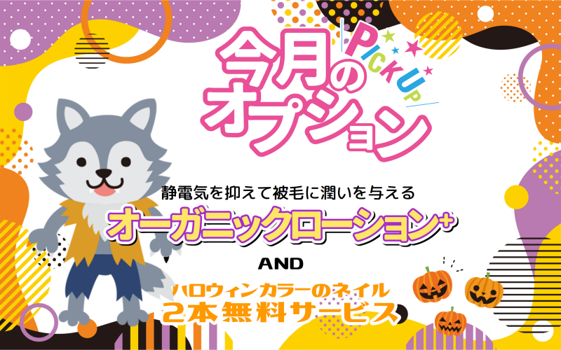 10月のオススメꙨꙻꙨꙻ✧*