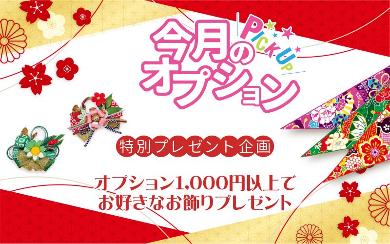 12月のオススメꙨꙻꙨꙻ✧*