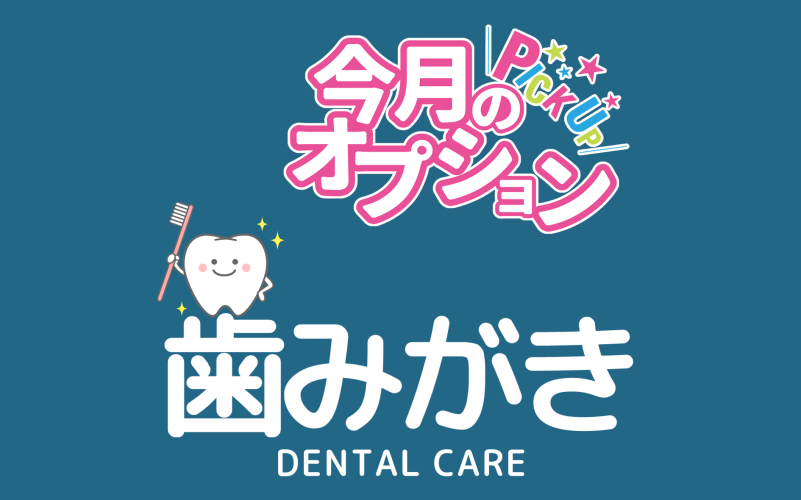 11月のオススメꙨꙻꙨꙻ✧*